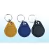 Home-Locking RFI-041