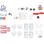 Home-locking wifi Google assistant beveiligingsbox voor alarm detectoren. ST01C-15