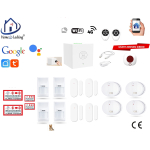 Home-locking wifi Google assistant beveiligingsbox voor alarm detectoren. ST01C-2