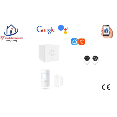 Home-locking wifi Google assistant beveiligingsbox voor alarm detectoren. ST01C