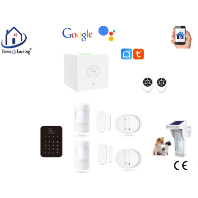 Home-locking wifi Google assistant beveiligingsbox voor alarm detectoren. ST01C-13