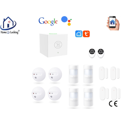 Home-locking wifi Google assistant beveiligingsbox voor alarm detectoren. ST01C-15