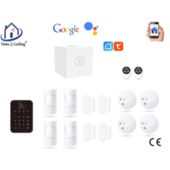 Home-locking wifi Google assistant beveiligingsbox voor alarm detectoren. ST01C-16