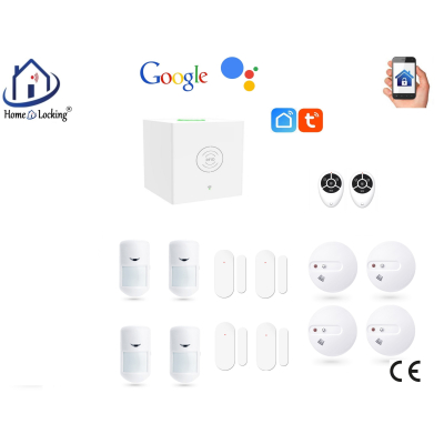 Home-locking wifi Google assistant beveiligingsbox voor alarm detectoren. ST01C-17