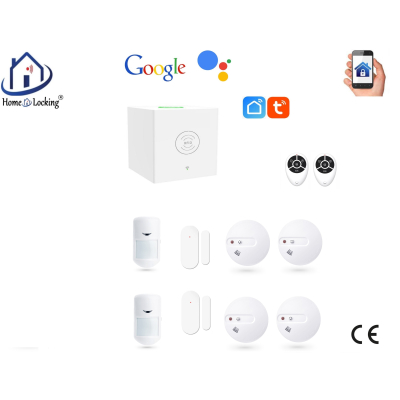 Home-locking wifi Google assistant beveiligingsbox voor alarm detectoren. ST01C-18