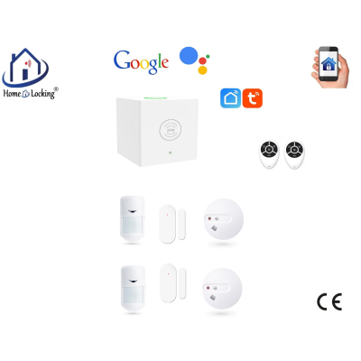 Home-locking wifi Google assistant beveiligingsbox voor alarm detectoren. ST01C-19