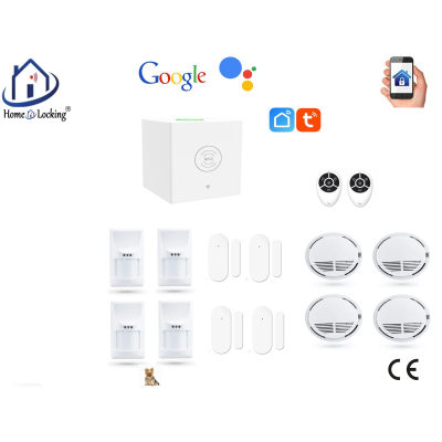 Home-locking wifi Google assistant beveiligingsbox voor alarm detectoren. ST01C-2