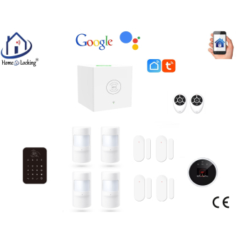 Home-locking wifi Google assistant beveiligingsbox voor alarm detectoren. ST01C-20