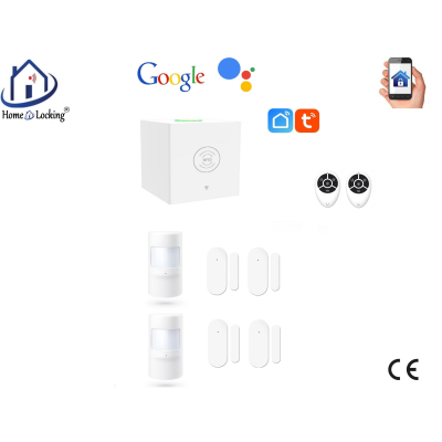 Home-locking wifi Google assistant beveiligingsbox voor alarm detectoren. ST01C-25