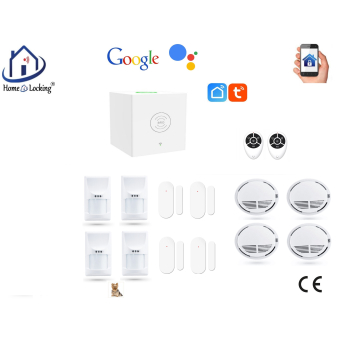 Home-locking wifi Google assistant beveiligingsbox voor alarm detectoren. ST01C-50