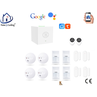 Home-locking wifi Google assistant beveiligingsbox voor alarm detectoren. ST01C-51