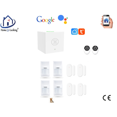 Home-locking wifi Google assistant beveiligingsbox voor alarm detectoren. ST01C-52
