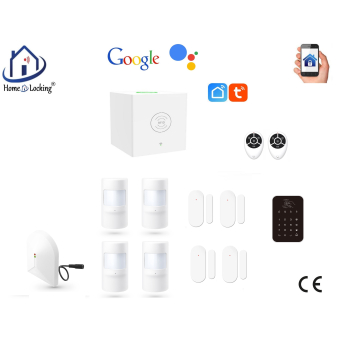 Home-locking wifi Google assistant beveiligingsbox voor alarm detectoren. ST01C-7