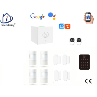 Home-locking wifi Google assistant beveiligingsbox voor alarm detectoren. ST01C-8