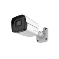 Home-Locking ip-camera met bewegingsdetectie en  SONY ship POE 3.0MP. C-1262