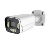 Home-Locking IP-camera PoE met bewegingsdetectie + microfoon Full Color Night Vision 5.0MP. C-1271