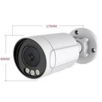 Home-Locking IP-camera PoE met bewegingsdetectie + microfoon Full Color Night Vision 5.0MP. C-1272