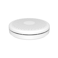 Home-locking WiFi rook/CO detector met bediening via Smart Life APP werkt met Alexa en Google spraaksturing. T-2054