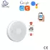 Home-locking WiFi rook/CO detector met bediening via Smart Life APP werkt met Alexa en Google spraaksturing. T-2054