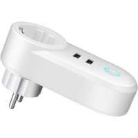 Home-locking WiFi universele stopcontact met 2 x USB aansluitingen en bediening via Smart Life APP werkt met Alexa en Google spraaksturing. T-2065