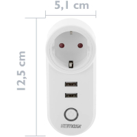 Home-locking WiFi universele stopcontact met 2 x USB aansluitingen en bediening via Smart Life APP werkt met Alexa en Google spraaksturing. T-2065